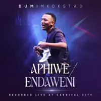 Aphiwe/ Endaweni — Dumi Mkokstad