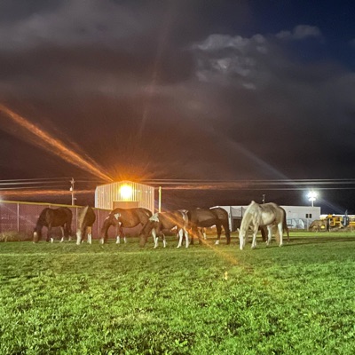 Copious Amounts of Hardcore Drugs - Single