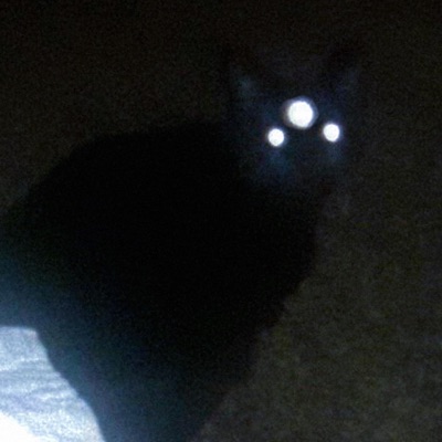 2499 2422 242499 22 - EP