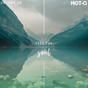 Feel the Soul 038 - Various Artists