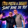 Sunt bine de tot