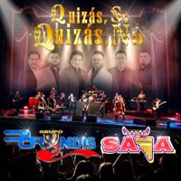 Quizás Sí, Quizás No (feat. Grupo Saya) [Desde el Teatro Metropólitan] - Single - Grupo Bryndis