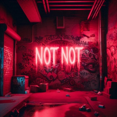 NOT NOT (feat. Chrit) - Single
