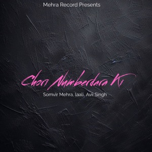 Chori Numberdara ki