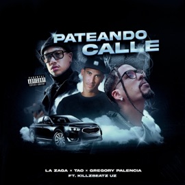 Pateando Calle (feat. Killzbeatz UZ) Tao, Gregory Palencia & La Zaga