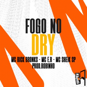 Fogo No Dry (feat. Mc Sheik SP)