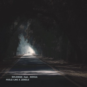 Feels Like A Jungle (feat. Novaa) - Single