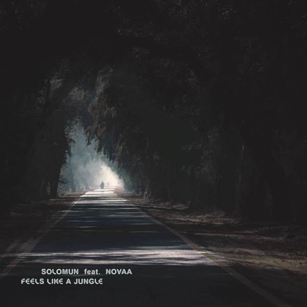Feels Like A Jungle (feat. Novaa) - Single