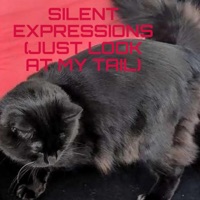 Silent Expressions (Just Look at my Tail) - Single - Julefjollene