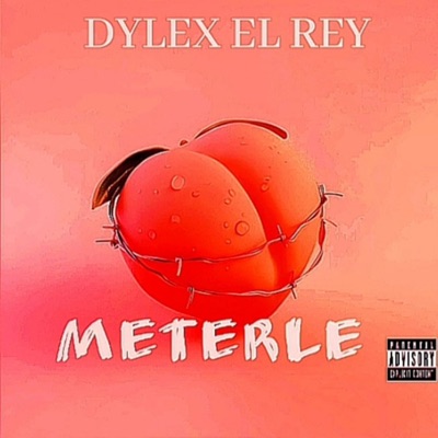 Meterle - Single