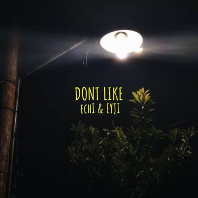 don't like (feat. eyji) - Single