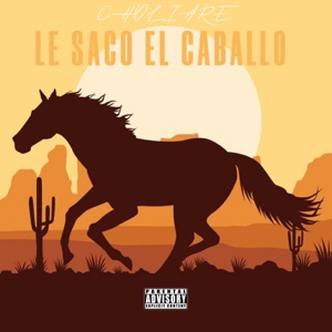 Le Saco El Caballo