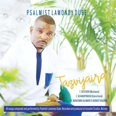 Song - Ndinovimba naMwari (feat. Psalmist Lamondy Dube) - Nobert Mukombe