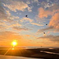 Guete Morge (feat. MIKAY) - Single - Miro