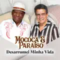 Desarrumei Minha Vida