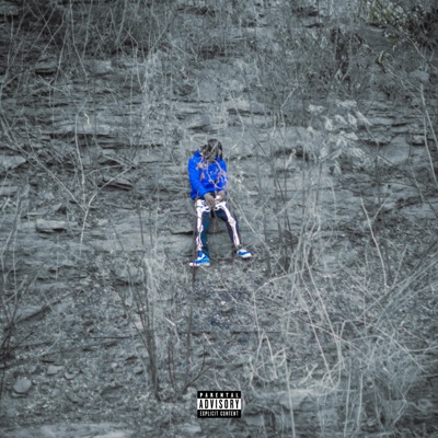 TISTRE (STREETS) (feat. Medusa & ACE ILLY) - Single