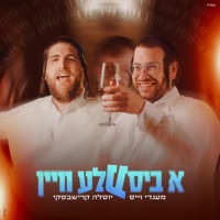 א ביסעלע וויין (feat. Mendy Weiss) - Single - יוסלה קרישבסקי