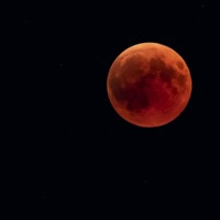 BLOOD SWEAT AND TEARS - Single - Brezie & Verse