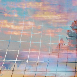 wasteland stevie nel