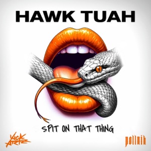 Hawk Tuah