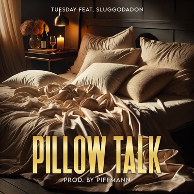 Pillow Talk (feat. Sluggodadon) - Single
