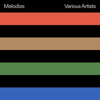 Escucha Melodize Various Artists de Various Artists