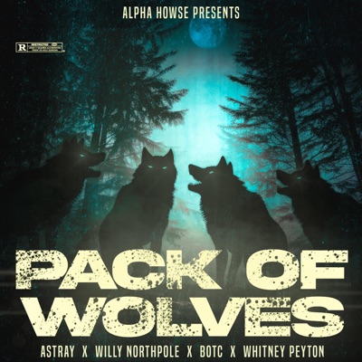 Pack of Wolves (feat. Bag of Tricks Cat) - Single