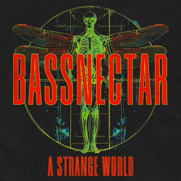 A Strange World - Single