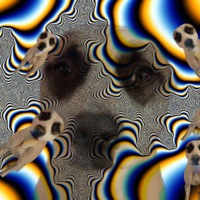 Dishonor (feat. Glxry) - Single - Vloodclot