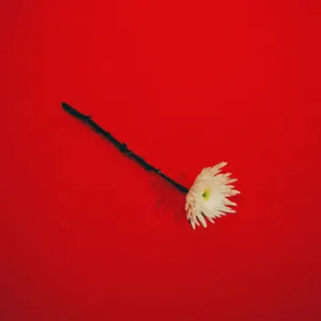 I Know You Know album cover