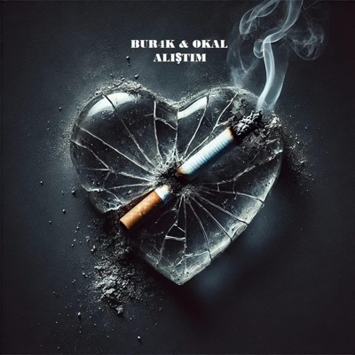 alıştım (feat. OKAL) - Single