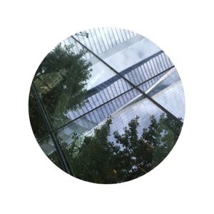 Chicago - Single