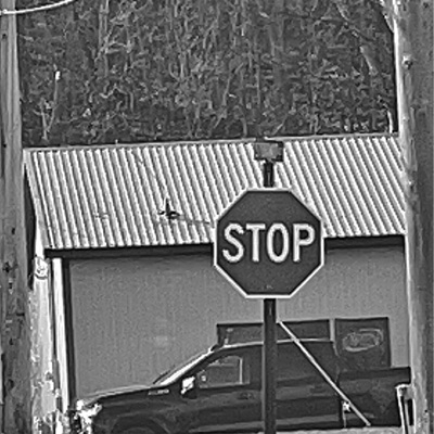 ONE TRICK PONY - Single