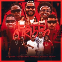 Fato Curioso (feat. Tropa da W&S & Delleon) - Single - Mc Ws da leste, DJ GH Sheik, Glaxdow & MC Marley