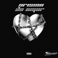 Prision De Amor - Single - Regresso