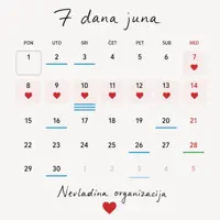 7 DANA JUNA — NEVLADINA ORGANIZACIJA