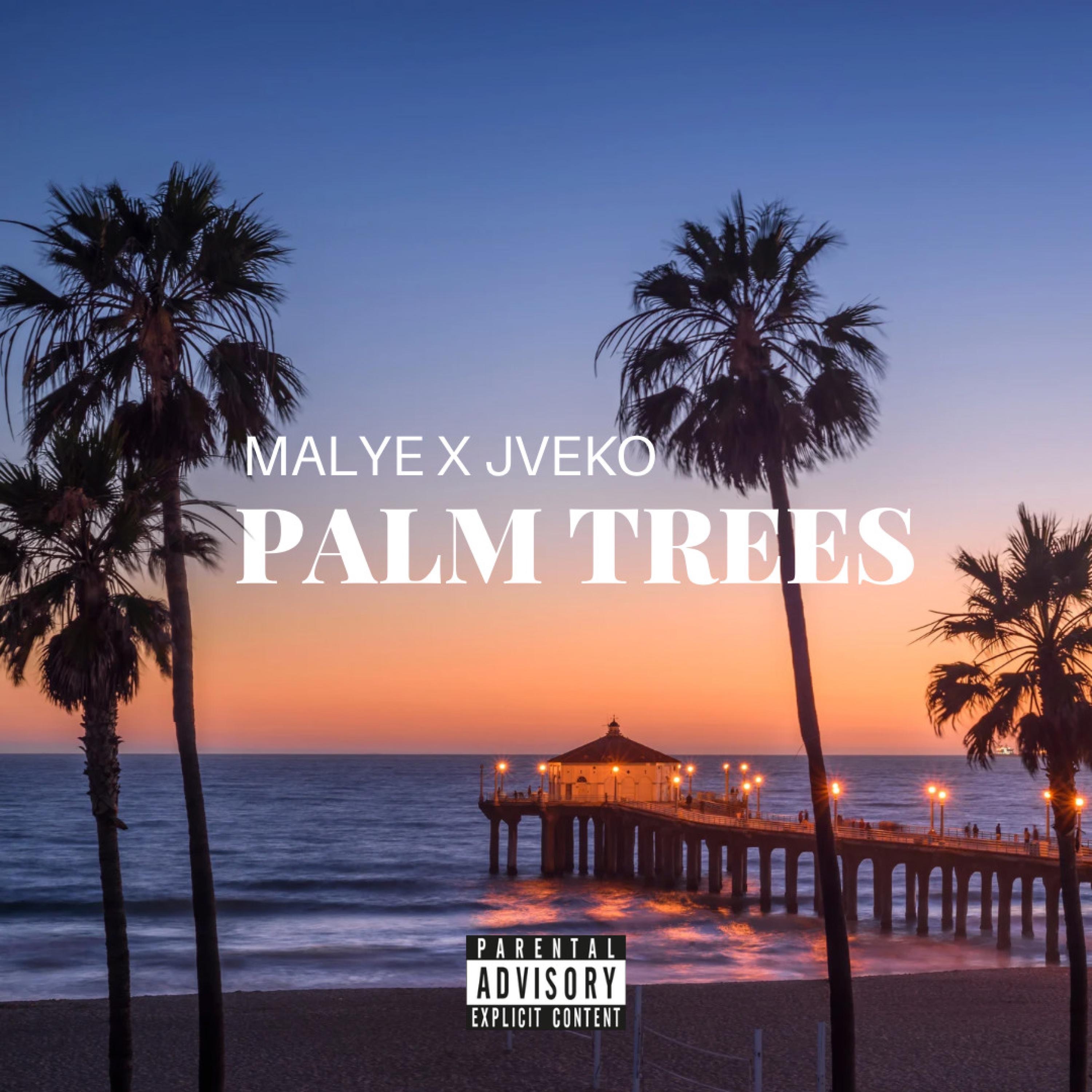 Antoine Malye - Black Palm Trees (feat. Mathieu Corbiere & Nalla Sauer)