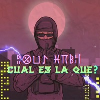 Cual Es La Que? - Single - Poul Habil