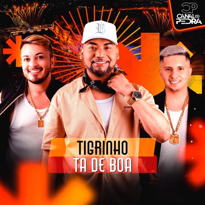 Tigrinho Tá de Boa - Single