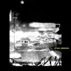 Stefanie Stauffacher - Steel Mimosa