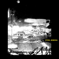 Stefanie Stauffacher - Steel Mimosa