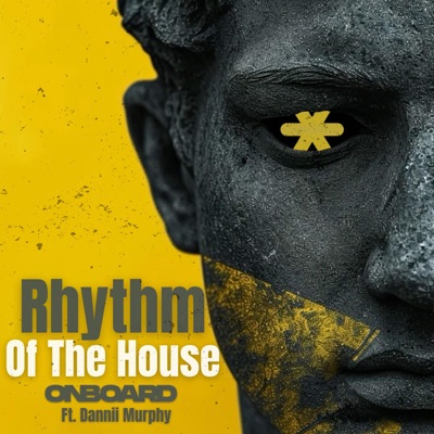 Rhythm of the House - Single