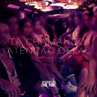 Ta Chamando Atenção Delas - Single - DJ Biel Divulga & MC Neneco