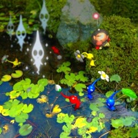 tree stump - Single - noa starkie