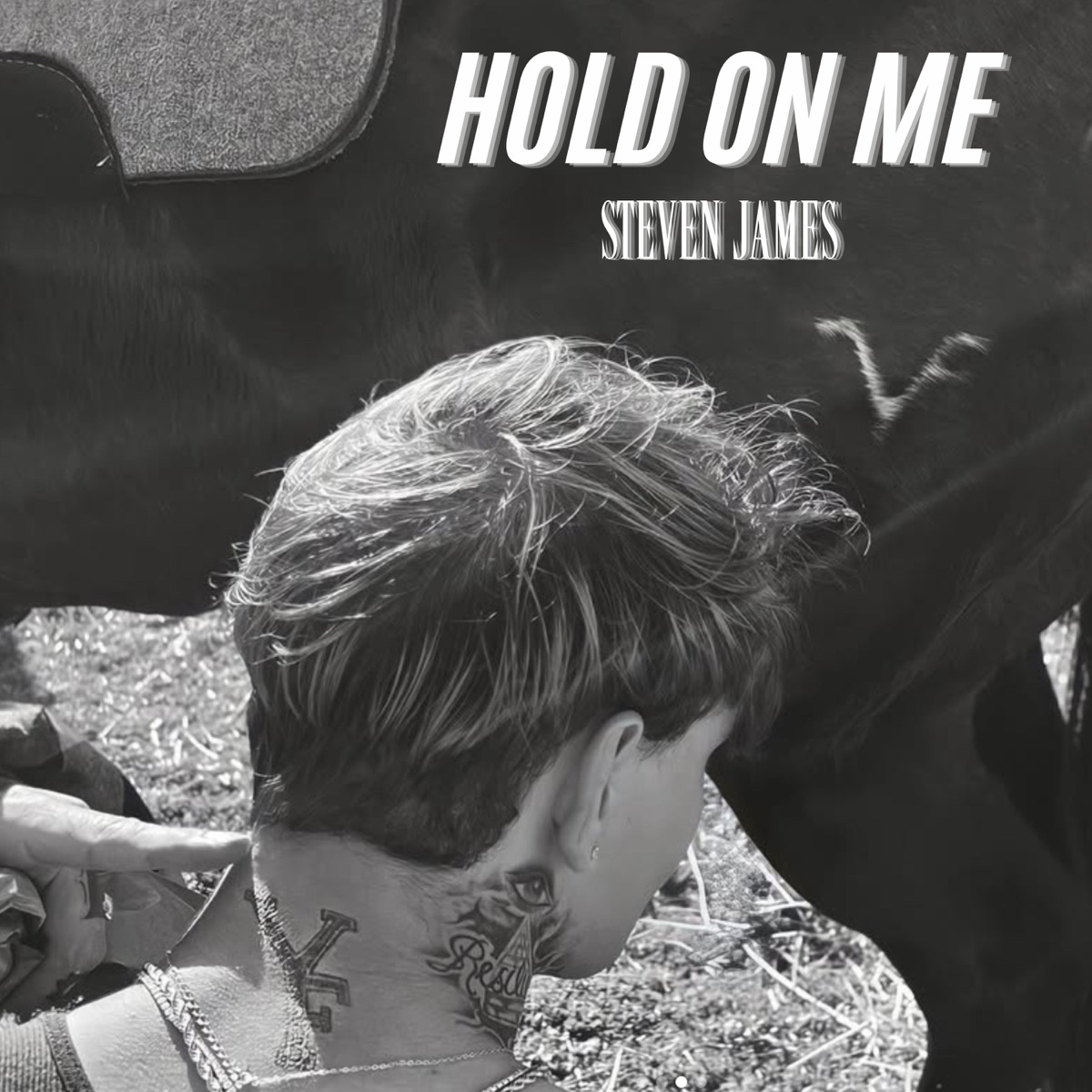 Steven James – Hold On Me – Single (2026) [iTunes Plus AAC M4A]-新房子