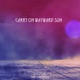 Carry On Wayward Son Single