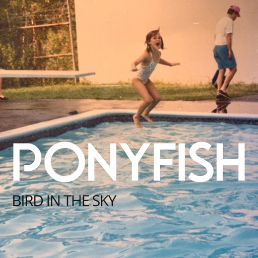 Album artwork