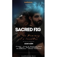 Peeplaan (feat. Shehroze Butt) - Single - Azad Azim