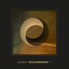 Nicole Bernegger - Alchemy Grafik