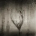 Reclaim